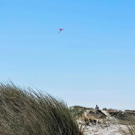 Casa de Férias 497-hvide-sande-engsvingelvej-8