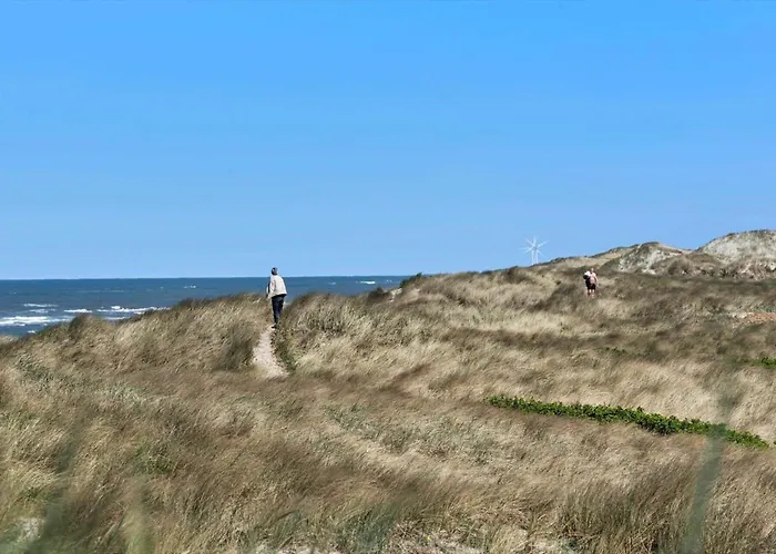 497-hvide-sande-engsvingelvej-8 *