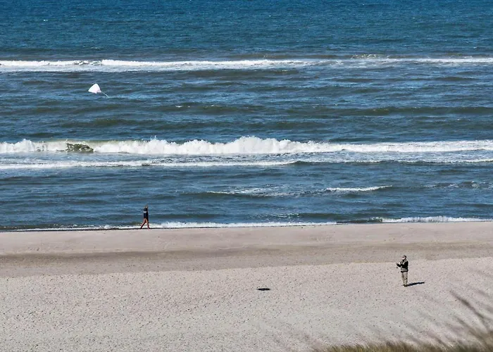 497-hvide-sande-engsvingelvej-8