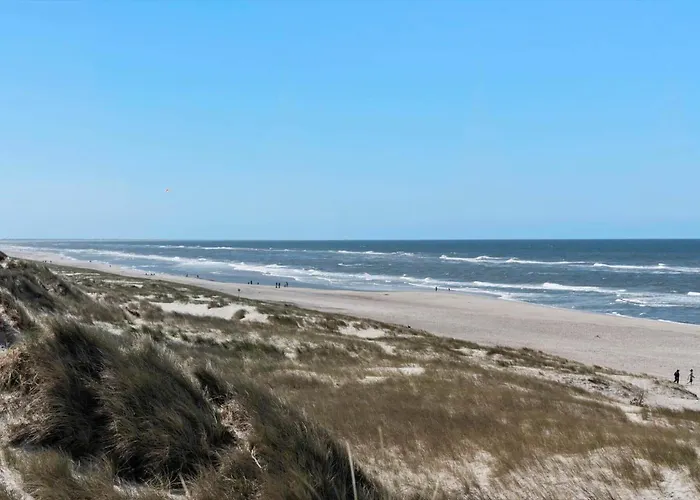 497-hvide-sande-engsvingelvej-8 荷韦德山迪