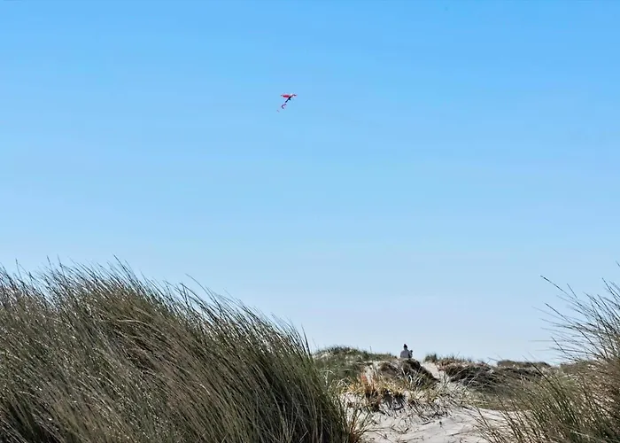 497-hvide-sande-engsvingelvej-8 * 荷韦德山迪